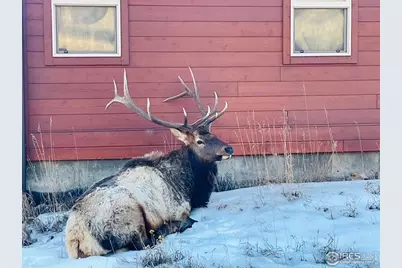 810 Larkspur Rd, Estes Park, CO 80517 - Photo 40