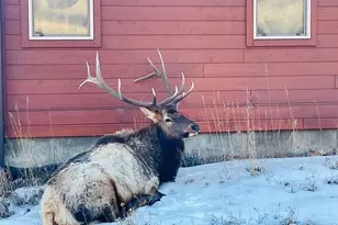 810 Larkspur Rd, Estes Park, CO 80517 - Photo 40