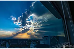 4931 Valentia St, Denver, CO 80238 - Photo 36