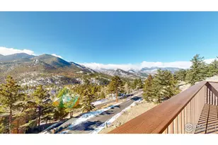 1421 St Moritz Trail, Estes Park, CO 80517 - Photo 36