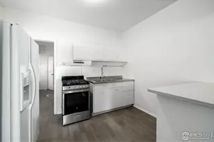 172 W Maple Ave, Denver, CO 80223 - Photo 4