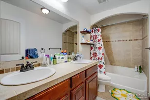 3527 Big Ben Dr, Fort Collins, CO 80526 - Photo 26