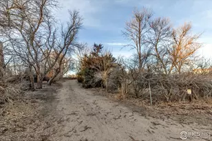 7157 Maple St, Longmont, CO 80504 - Photo 26