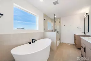 825 Doubleleaf Dr, Windsor, CO 80550 - Photo 16