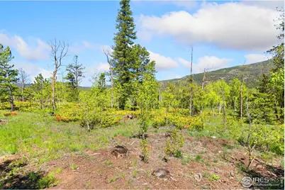 5449 N County Road 73C, Red Feather Lakes, CO 80545 - Photo 24