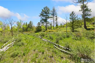 5449 N County Road 73C, Red Feather Lakes, CO 80545 - Photo 12