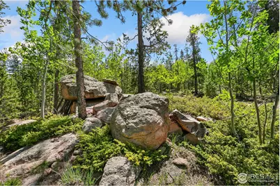 5481 N County Road 73C, Red Feather Lakes, CO 80545 - Photo 24