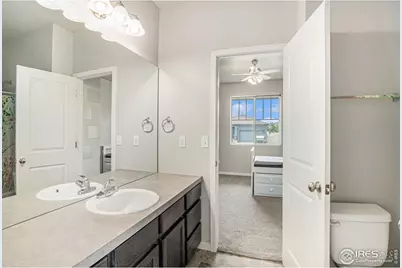 3787 Buckthorn St, Wellington, CO 80549 - Photo 20