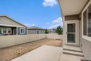 3787 Buckthorn St, Wellington, CO 80549 - Photo 38