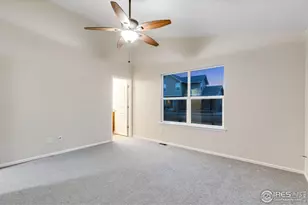 1554 Benfleet Ct, Windsor, CO 80550 - Photo 22