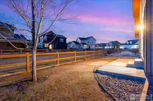 1554 Benfleet Ct, Windsor, CO 80550 - Photo 24