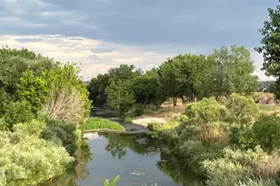 2086 Cape Hatteras Dr, Windsor, CO 80550 - Photo 48