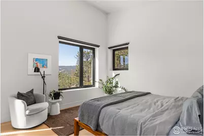 103 W Wildewood Dr, Nederland, CO 80466 - Photo 4