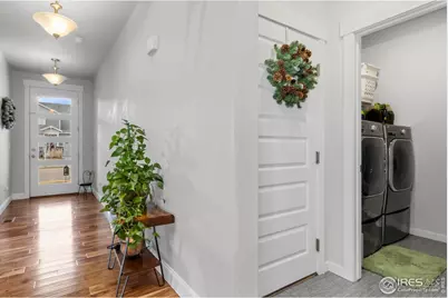 2093 Gather Ct, Windsor, CO 80550 - Photo 8