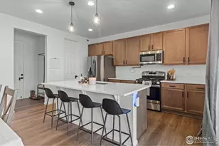 1228 Argali Dr, Severance, CO 80550 - Photo 4