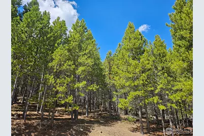 113 Shoshoni Dr, Red Feather Lakes, CO 80545 - Photo 32