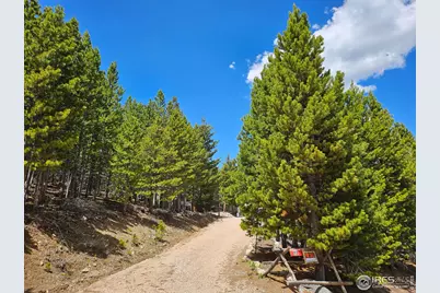 113 Shoshoni Dr, Red Feather Lakes, CO 80545 - Photo 18