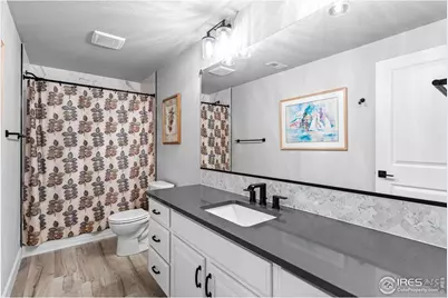 366 Bluestar Dr, Windsor, CO 80550 - Photo 40