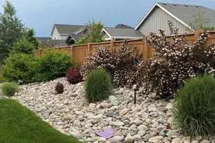 366 Blue Star Dr, Windsor, CO 80550 - Photo 44