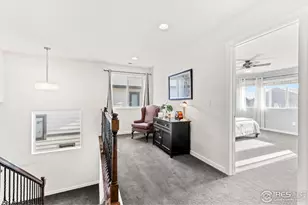 553 Hillspire Dr, Windsor, CO 80550 - Photo 22