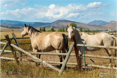 5336 Caribou Springs Trl, Longmont, CO 80503 - Photo 42