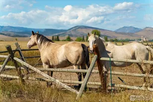 5336 Caribou Springs Trail, Longmont, CO 80503 - Photo 42