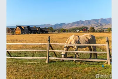5336 Caribou Springs Trl, Longmont, CO 80503 - Photo 4