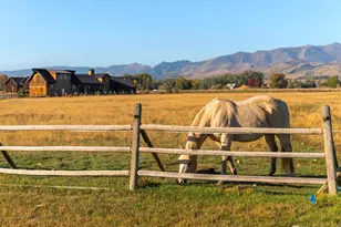 5336 Caribou Springs Trail, Longmont, CO 80503 - Photo 4