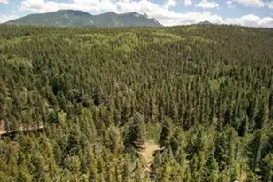 1001 Pactolus Lake Rd, Black Hawk, CO 80422 - Photo 18