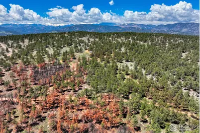 101 Lewis Ln, Lyons, CO 80503 - Photo 26