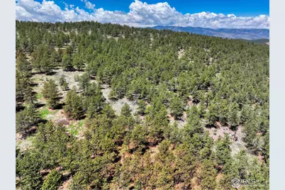 101 Lewis Ln, Lyons, CO 80503 - Photo 38
