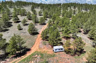 101 Lewis Ln, Lyons, CO 80540 - Photo 1
