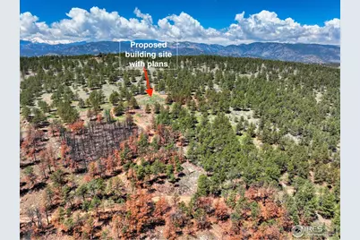 101 Lewis Ln, Lyons, CO 80503 - Photo 22