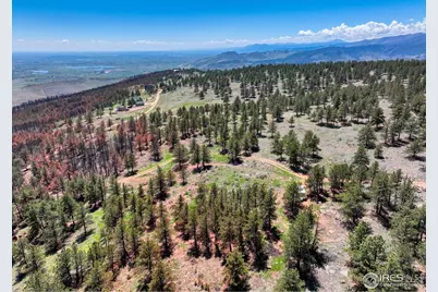 101 Lewis Ln, Lyons, CO 80503 - Photo 36