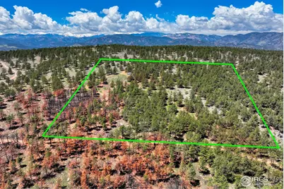 101 Lewis Ln, Lyons, CO 80540 - Photo 4