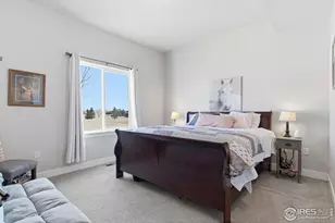 4165 Crittenton Ln, Wellington, CO 80549 - Photo 18