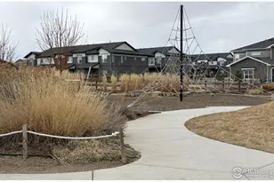 3498 Grayling Dr, Loveland, CO 80538 - Photo 20