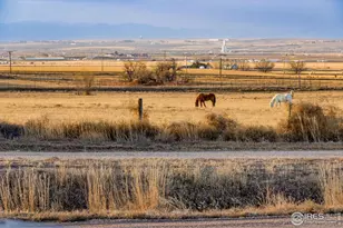 19584 Co Rd 40, La Salle, CO 80645 - Photo 50