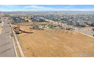 1876 Blossom Grove Dr, Windsor, CO 80550 - Photo 42