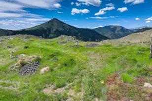 300 Shining Star Trail, Boulder, CO 80302 - Photo 10