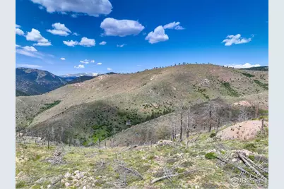 300 Shining Star Trl ##A, Boulder, CO 80302 - Photo 22