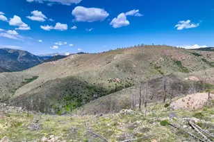 300 Shining Star Trail, Boulder, CO 80302 - Photo 22