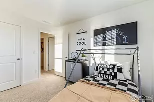 830 Trumpet Ln, Windsor, CO 80550 - Photo 26