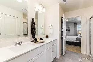 830 Trumpet Ln, Windsor, CO 80550 - Photo 20