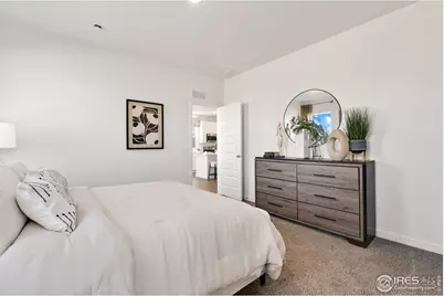 3246 Buffalo Grass Ln, Wellington, CO 80549 - Photo 8