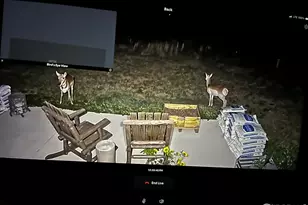 58736 Co Rd 23, Carr, CO 80612 - Photo 46