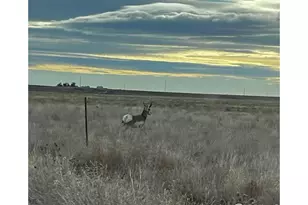 58736 Co Rd 23, Carr, CO 80612 - Photo 46