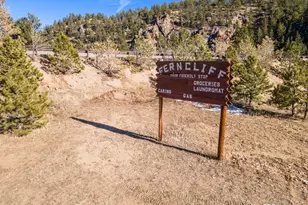 993 Hwy 7 Business, Allenspark, CO 80510 - Photo 50