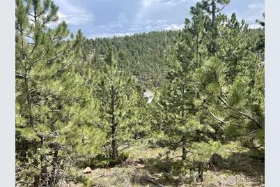 416 Comanche Cir, Red Feather Lakes, CO 80545 - Photo 20