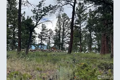 416 Comanche Cir, Red Feather Lakes, CO 80545 - Photo 18